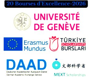 Rectangle moyen 300x250 px (18)